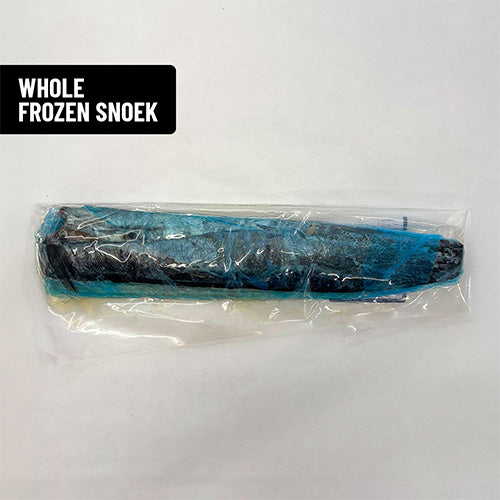 Snoek Frozen Whole