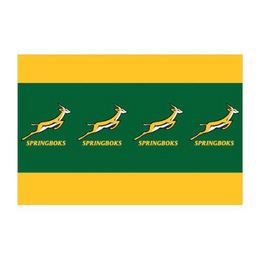 Springboks Paper Table Cover Official